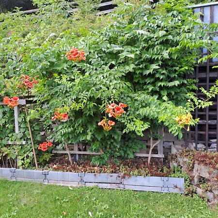 Ferienwohnung Brenner Bruck an der Mur Luaran gambar