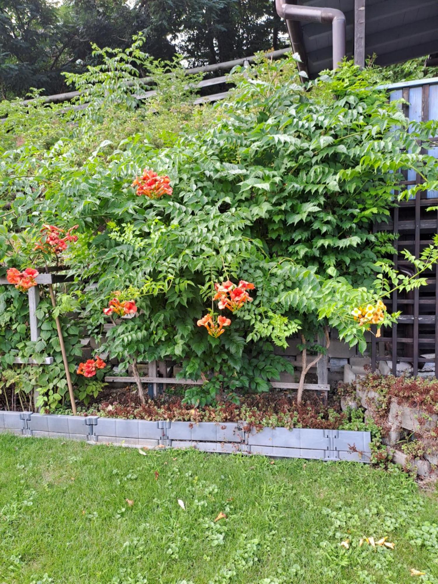 Ferienwohnung Brenner Bruck an der Mur Luaran gambar