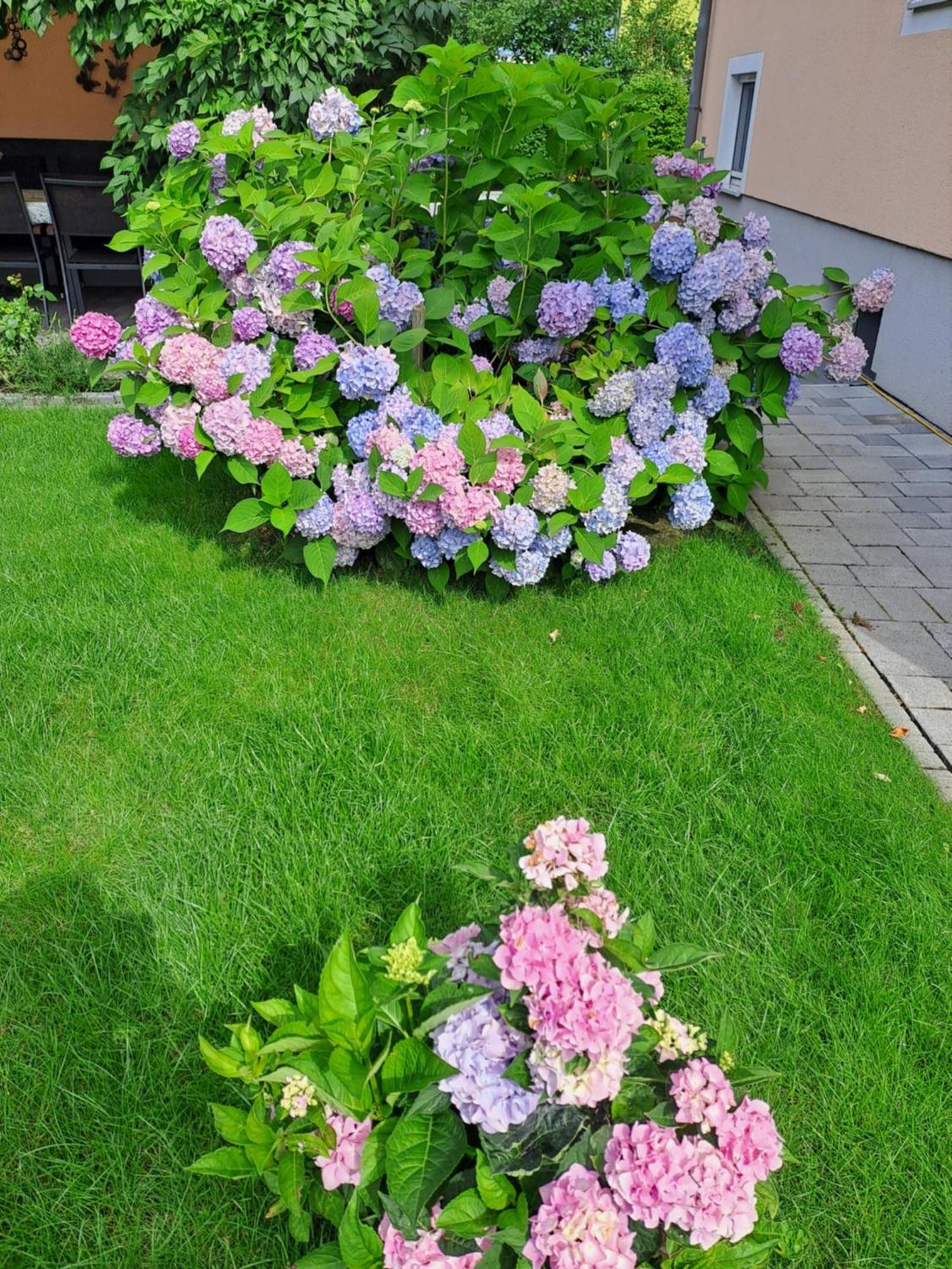 Ferienwohnung Brenner Bruck an der Mur Luaran gambar